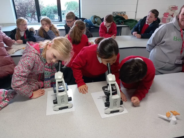 rs=w_2560,h_1920 (2)